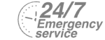 24/7 Emergency Service Pest Control in Kensington, W8. Call Now! 020 8166 9746